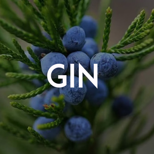 zin